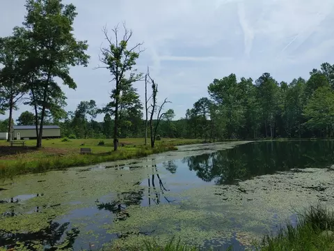 View/Area - 749 Huff School Rd, Mckee, KY 40447 photo 3 of 13