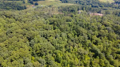 View/Area - 749 Huff School Rd, Mckee, KY 40447 photo 9 of 13