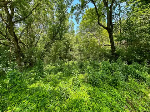 Other - 0 Abners Mill Rd, Ewing, KY 41039 photo 45 of 50