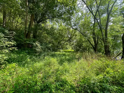 Other - 0 Abners Mill Rd, Ewing, KY 41039 photo 26 of 50