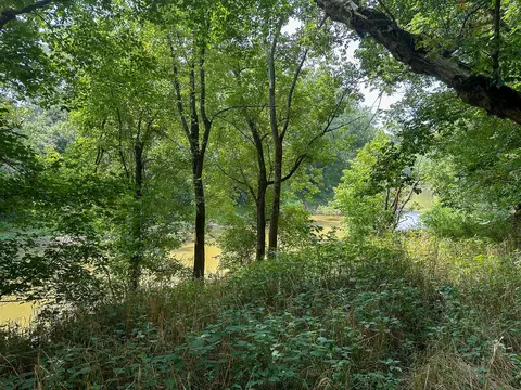 View/Area - 0 Abners Mill Rd, Ewing, KY 41039 photo 50 of 63