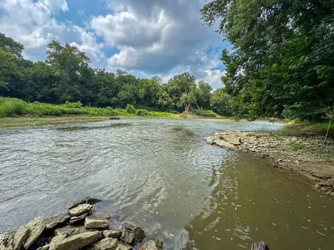 View/Area - 0 Abners Mill Rd, Ewing, KY 41039 photo 60 of 63