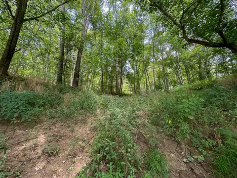 Other - 0 Abners Mill Rd, Ewing, KY 41039 photo 42 of 50