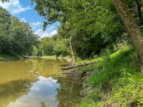 View/Area - 0 Abners Mill Rd, Ewing, KY 41039 photo 46 of 63