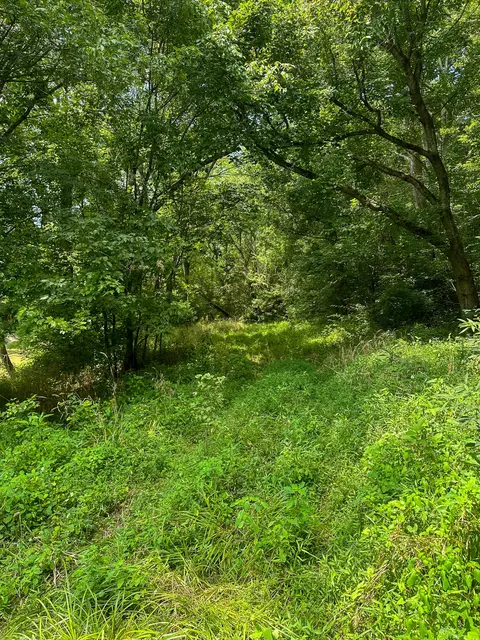 Other - 0 Abners Mill Rd, Ewing, KY 41039 photo 21 of 50