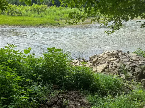 View/Area - 0 Abners Mill Rd, Ewing, KY 41039 photo 55 of 63