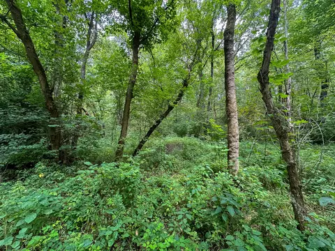 Other - 0 Abners Mill Rd, Ewing, KY 41039 photo 7 of 50