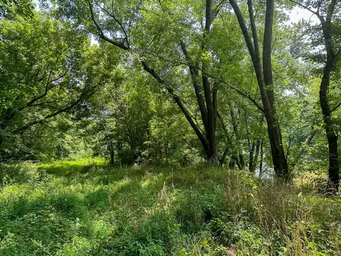 Other - 0 Abners Mill Rd, Ewing, KY 41039 photo 28 of 50