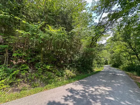 Other - 0 Abners Mill Rd, Ewing, KY 41039 photo 34 of 50