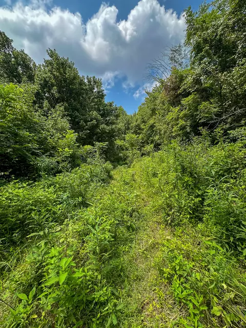 Other - 0 Abners Mill Rd, Ewing, KY 41039 photo 17 of 50
