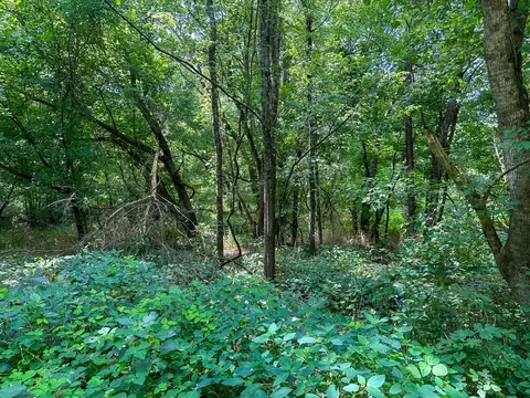 Other - 0 Abners Mill Rd, Ewing, KY 41039 photo 39 of 50