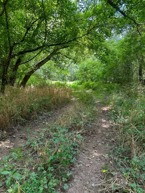 Other - 0 Abners Mill Rd, Ewing, KY 41039 photo 30 of 50