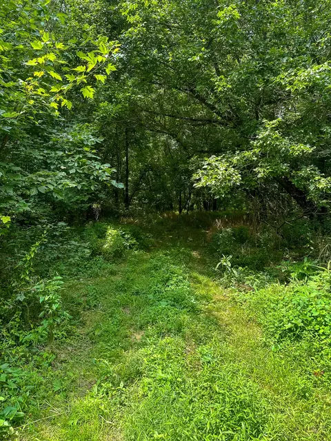 Other - 0 Abners Mill Rd, Ewing, KY 41039 photo 10 of 50