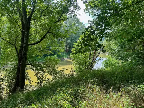 View/Area - 0 Abners Mill Rd, Ewing, KY 41039 photo 53 of 63