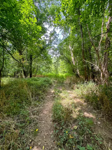 Other - 0 Abners Mill Rd, Ewing, KY 41039 photo 12 of 50