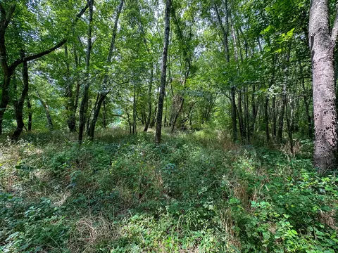 Exterior - 0 Abners Mill Rd, Ewing, KY 41039 photo 6 of 9