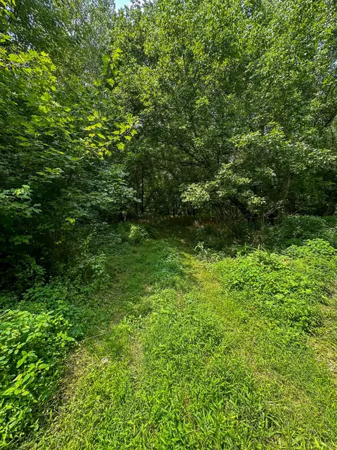 Other - 0 Abners Mill Rd, Ewing, KY 41039 photo 11 of 50