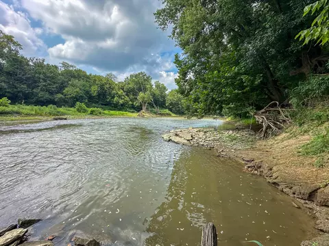 View/Area - 0 Abners Mill Rd, Ewing, KY 41039 photo 59 of 63