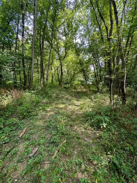 Exterior - 0 Abners Mill Rd, Ewing, KY 41039 photo 8 of 9