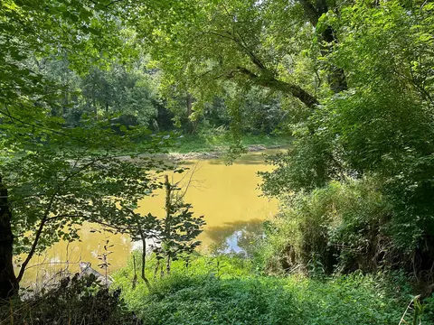 View/Area - 0 Abners Mill Rd, Ewing, KY 41039 photo 49 of 63