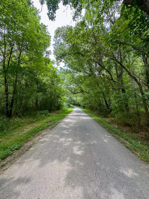 Other - 0 Abners Mill Rd, Ewing, KY 41039 photo 9 of 50