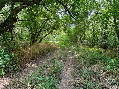 Other - 0 Abners Mill Rd, Ewing, KY 41039 photo 31 of 50