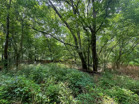 Other - 0 Abners Mill Rd, Ewing, KY 41039 photo 14 of 50