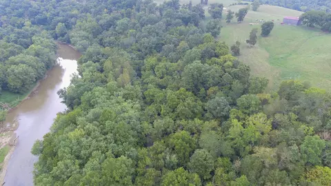 View/Area - 0 Abners Mill Rd, Ewing, KY 41039 photo 9 of 63