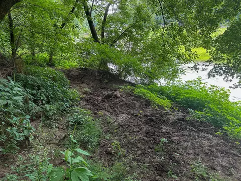 View/Area - 0 Abners Mill Rd, Ewing, KY 41039 photo 54 of 63