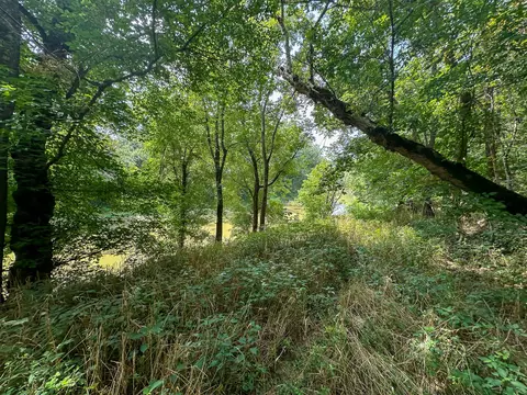 Other - 0 Abners Mill Rd, Ewing, KY 41039 photo 24 of 50