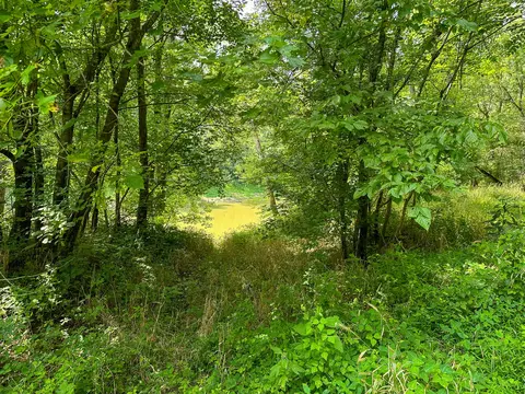 View/Area - 0 Abners Mill Rd, Ewing, KY 41039 photo 36 of 63
