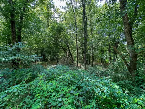 Other - 0 Abners Mill Rd, Ewing, KY 41039 photo 38 of 50