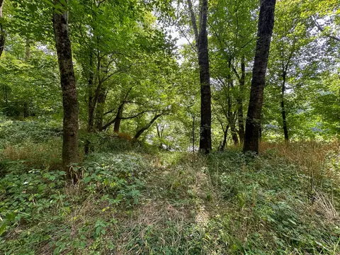 Exterior - 0 Abners Mill Rd, Ewing, KY 41039 photo 7 of 9