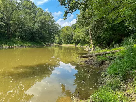 View/Area - 0 Abners Mill Rd, Ewing, KY 41039 photo 47 of 63