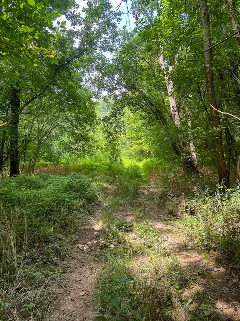 Other - 0 Abners Mill Rd, Ewing, KY 41039 photo 13 of 50