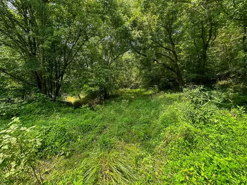 Other - 0 Abners Mill Rd, Ewing, KY 41039 photo 22 of 50