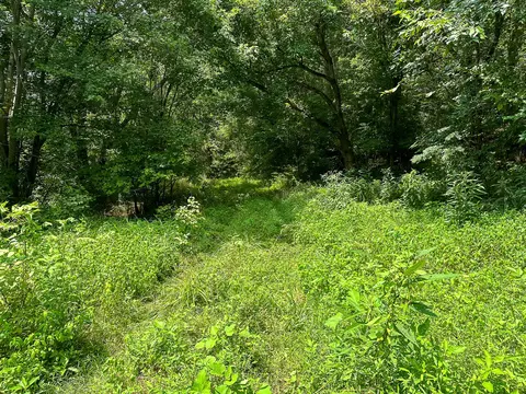 Other - 0 Abners Mill Rd, Ewing, KY 41039 photo 29 of 50