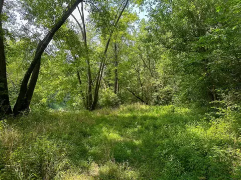 Other - 0 Abners Mill Rd, Ewing, KY 41039 photo 23 of 50