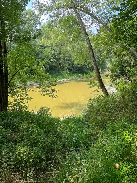 View/Area - 0 Abners Mill Rd, Ewing, KY 41039 photo 38 of 63