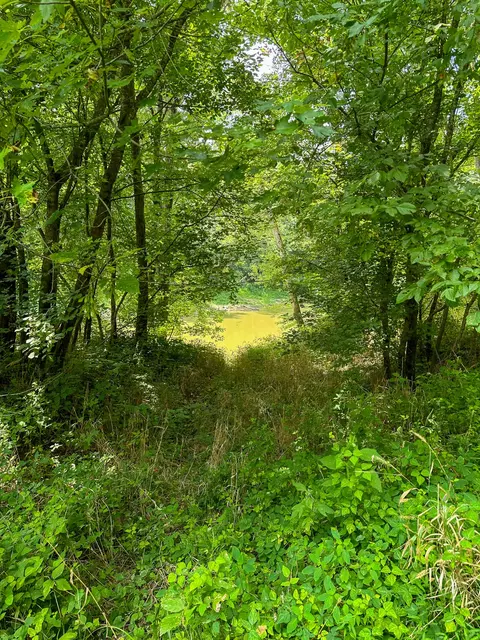 View/Area - 0 Abners Mill Rd, Ewing, KY 41039 photo 35 of 63
