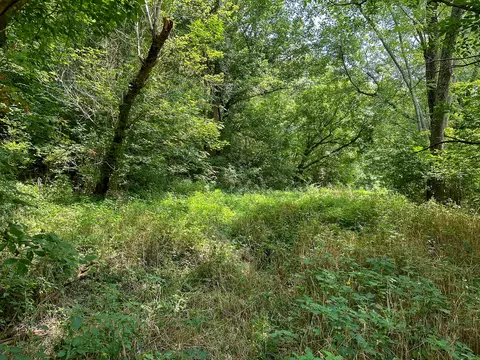 Other - 0 Abners Mill Rd, Ewing, KY 41039 photo 25 of 50