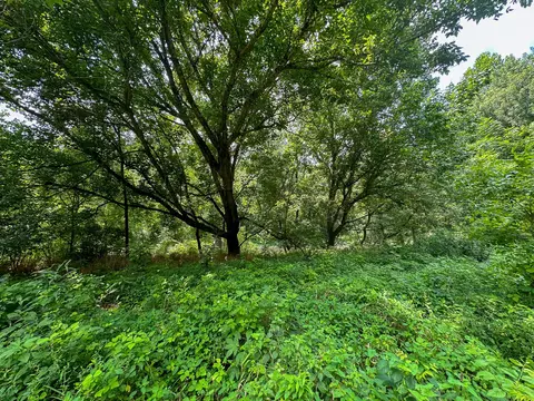 Other - 0 Abners Mill Rd, Ewing, KY 41039 photo 18 of 50