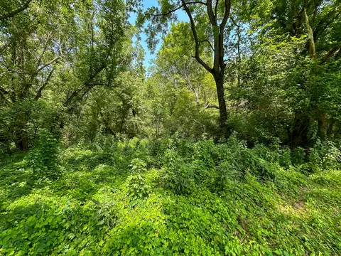 Other - 0 Abners Mill Rd, Ewing, KY 41039 photo 46 of 50