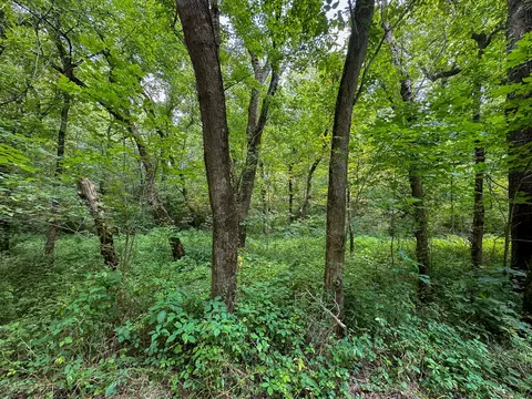 Other - 0 Abners Mill Rd, Ewing, KY 41039 photo 6 of 50