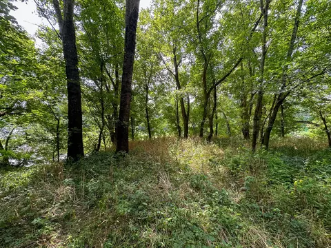 Other - 0 Abners Mill Rd, Ewing, KY 41039 photo 44 of 50