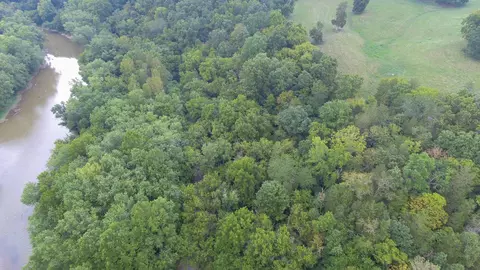 View/Area - 0 Abners Mill Rd, Ewing, KY 41039 photo 8 of 63