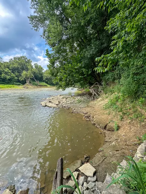 View/Area - 0 Abners Mill Rd, Ewing, KY 41039 photo 61 of 63
