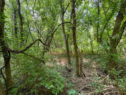 Other - 0 Abners Mill Rd, Ewing, KY 41039 photo 37 of 50