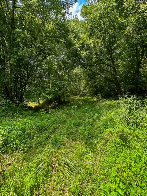 Other - 0 Abners Mill Rd, Ewing, KY 41039 photo 20 of 50