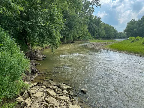 View/Area - 0 Abners Mill Rd, Ewing, KY 41039 photo 56 of 63
